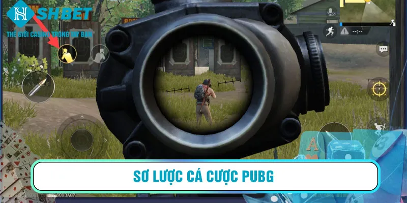 Sơ lược cá cược PUBG